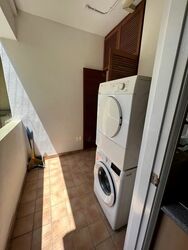 Emerald Garden (D1), Condominium #589893401